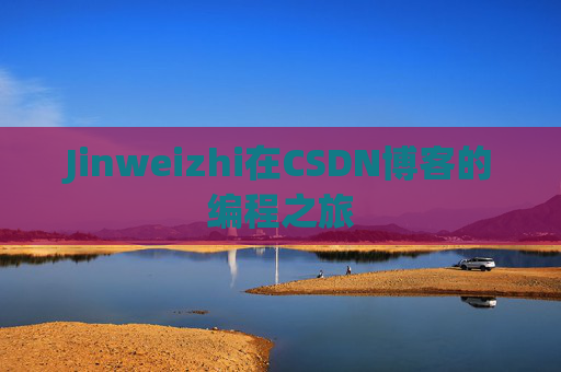 Jinweizhi在CSDN博客的编程之旅